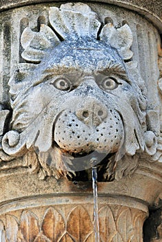 The lion in the corner fountain on Gundulic Square