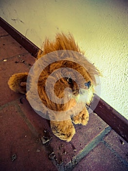 Lion in the corridor!
