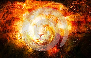 Lion in the cosmic space. Lion photos and graphic effect.