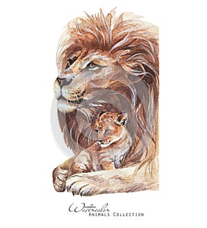 Lion and cub portrait. Lions family watercolor illustration