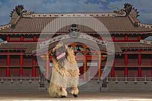 The Lion Dance