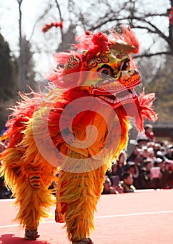 Lion dance