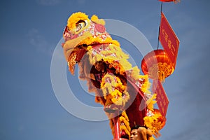 Lion Dance