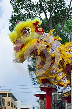 Lion dance on the Meihuaquan