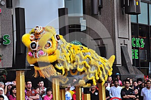 Lion Dance Performance