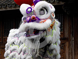 Lion dance performance