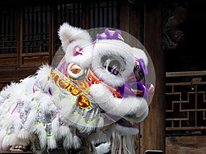 Lion dance performance