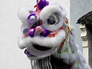 Lion dance performance