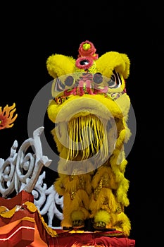 Lion dance performance show During Chinese new year festiva