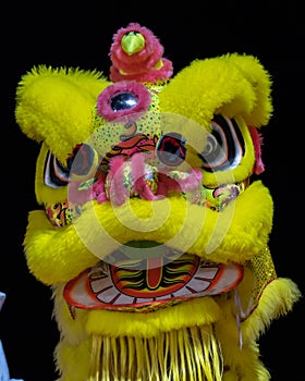 Lion dance performance show During Chinese new year festiva