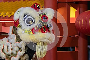 Lion dance performance show During Chinese new year festiva