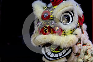 Lion dance performance show During Chinese new year festival