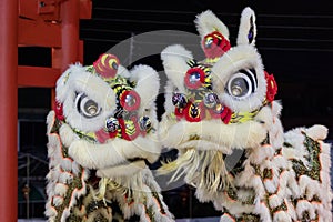 Lion dance performance show During Chinese new year festival