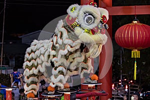 Lion dance performance show During Chinese new year festival at Kota Kinabalu City, Sabah, Malaysia during at night