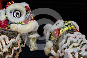 Lion dance performance show During Chinese new year festival at Kota Kinabalu City, Sabah, Malaysia during at night