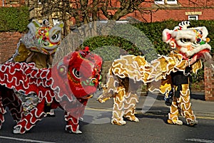 Lion Dancing Chinese New Year Celebrations in Blackburn England