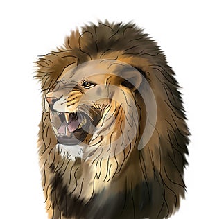 Lion digital painting