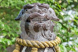 Lion-dog, or komainu, at Saiichi shinto Shrine, Kanazawa, Japan