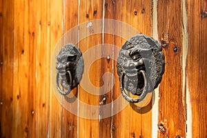 Lion door button