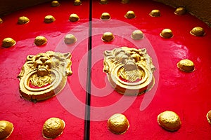 Lion Door Knocke