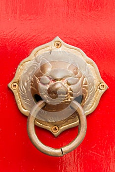 Lion - door knocker