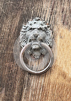 Lion Door Knocker