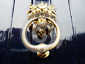 Lion door knocker navy blue golden paint