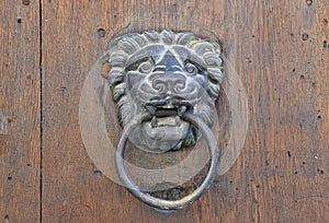 Lion door knocker on old wooden door