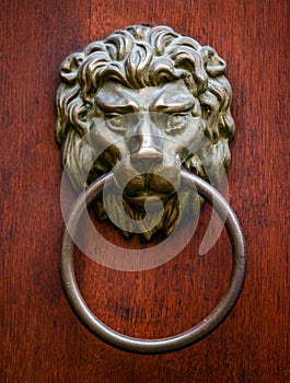 Lion door knocker on wooden door
