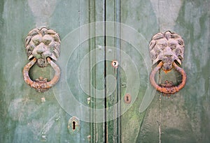 Lion door knokes on an old wodden door