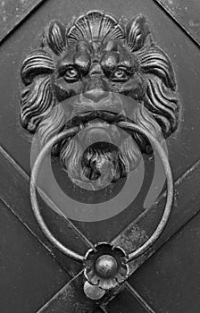 Lion doorknocker with ring