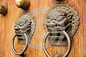 Lion dragon door accent