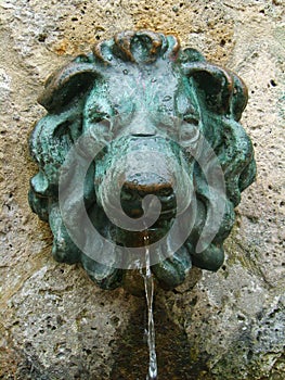 Lion effigy fountain photo