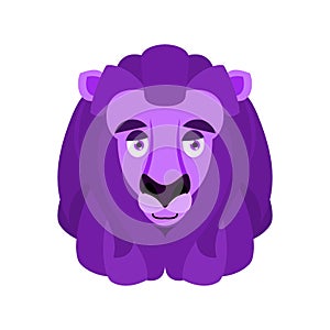 Lion Eggplant. Purple wild animal. Vector illustration