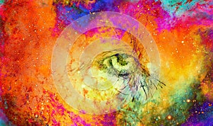 lion eye. animal drawing. Color cosmic space.