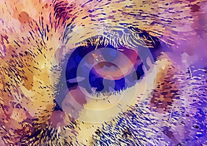 Lion eye and graphic effect. Computer collage.