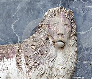 Lion on the facade of Scuola Grande di San Marco in Venice photo