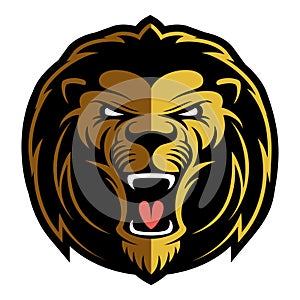 Lion face, angry lion head, logo design element.