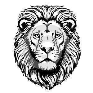 Lion face cartoon hand drawn sketch Vector illustration Safari animals