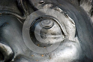Lion face close-up. The King Cannon detail. Moscow Kremlin.