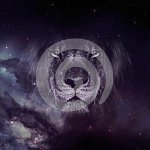 Lion face on galaxy wallpaper