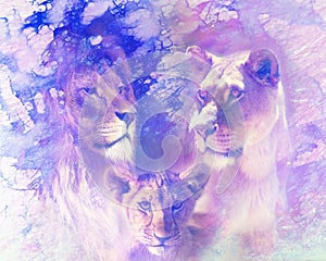 Lion family - lion, lioness and lion cub, on abstract structured background. Marble effect.