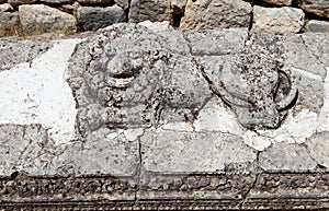Lion Figure in Arycanda Ancient City in Antalya.