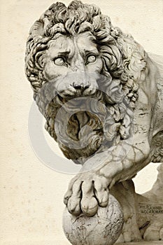 Lion in Florence