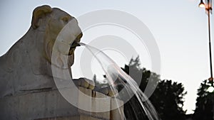 Lion fountain at Piazza del Popolo