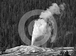 LION GEYSER ERUPTS