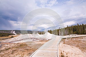 Lion Geyser Group