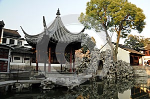 Lion Grove Garden. Suzhou. China.