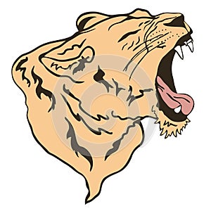 Lion growling vector