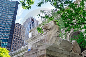 Lion guarding the New York public Library in Manhattan